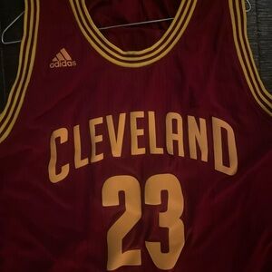 Lebron james swimgman Adidas Cleveland Basketball Jersey - wine and gold